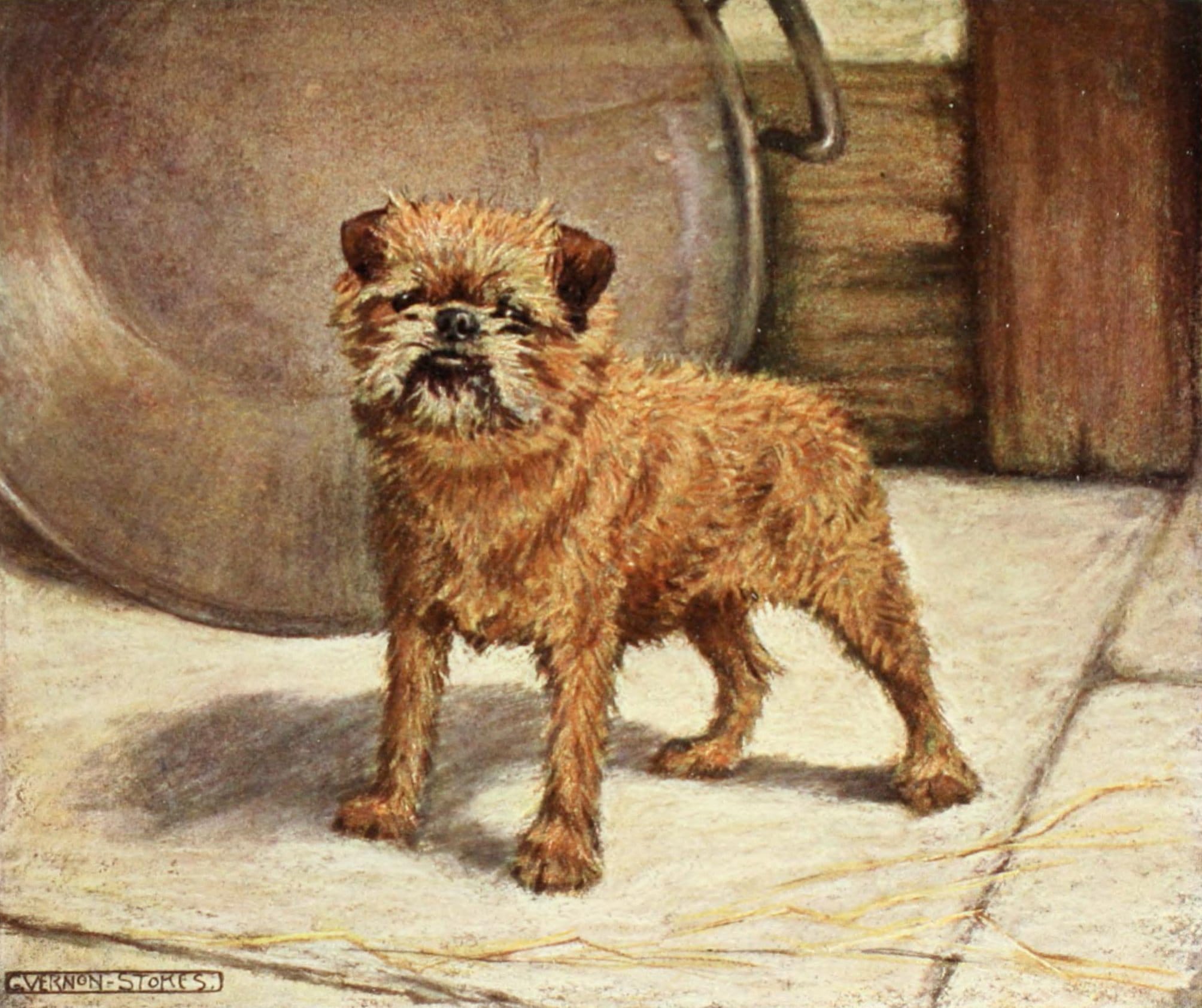 Dogs