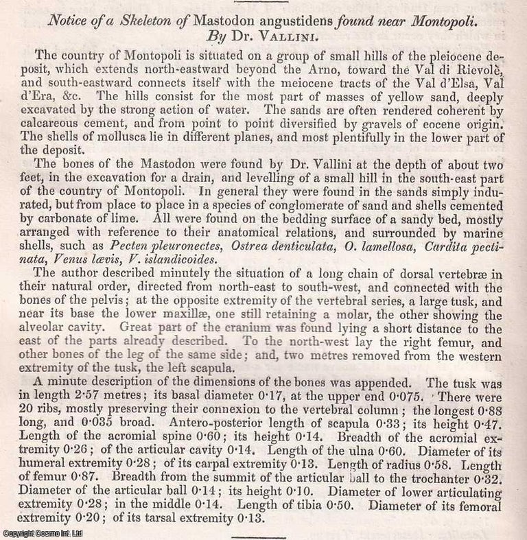 Item #154268 Notice of a Skeleton of Mastodon augustidens found near Montopoli. A rare original article from the British Association for the Advancement of Science report, 1852. Dr. Vallini.