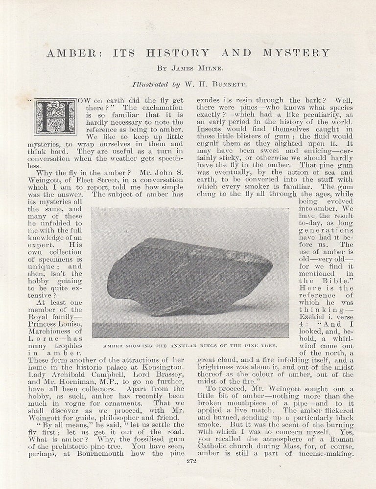 Item #215349 Amber, Why The Fly in The Amber: Its History and Mystery. 5 pages, illustrated. An...