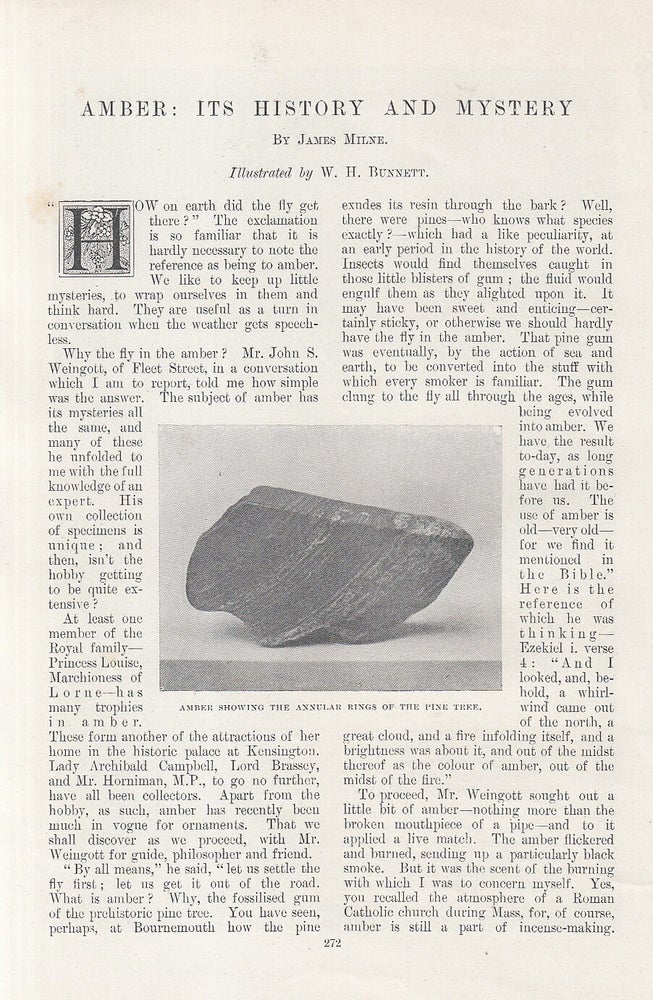 Item #215349 Amber, Why The Fly in The Amber: Its History and Mystery. 5 pages, illustrated. An...