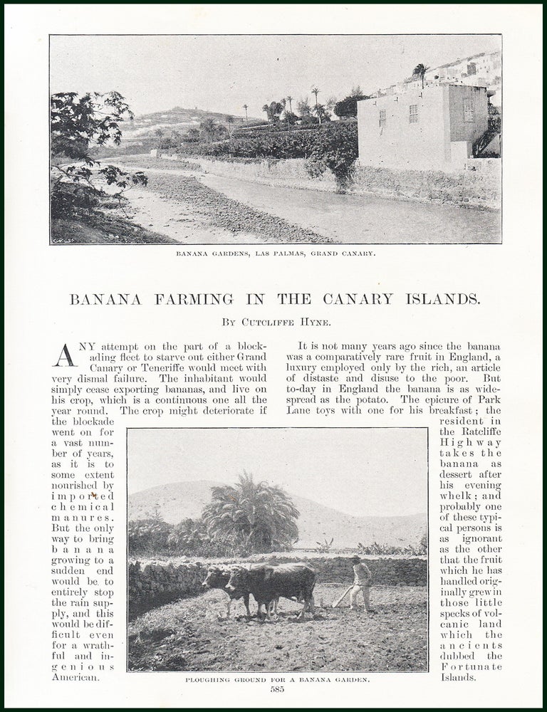 Item #215366 Banana Farming in The Canary Islands. 5 pages, illustrated. An article printed in...