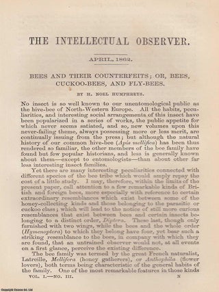 Bees and Their Counterfeits; or, Bees, Cuckoo-Bees, and Fly-Bees. An original uncommon article from the Intellectual Observer, 1862.