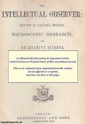 Item #227200 On The Geological Value of Recent Occurrences. An original uncommon article from the...