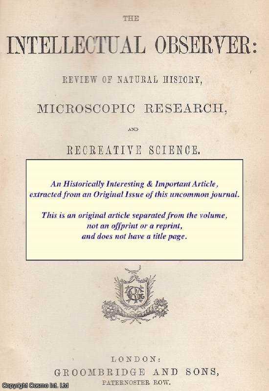 Item #227215 Balbiani on The Reproduction of Infusoria. An original uncommon article from the Intellectual Observer, 1862. Intellectual Observer.