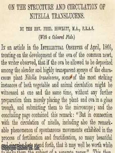 On The Structure and Circulation of Nitella Translucens. An original uncommon article from the Intellectual Observer, 1866.