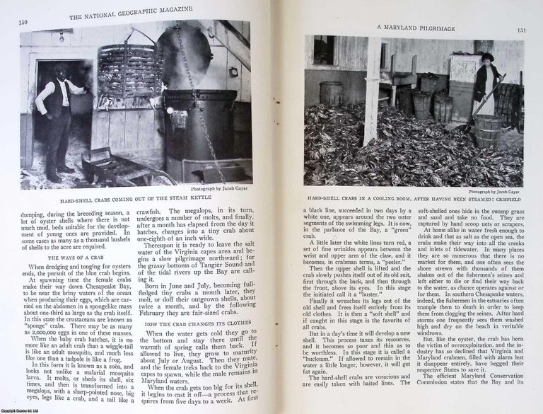 Item #233941 A Maryland Pilgrimage : Visits to Hallowed Shrines Recall the Major Role Played by...