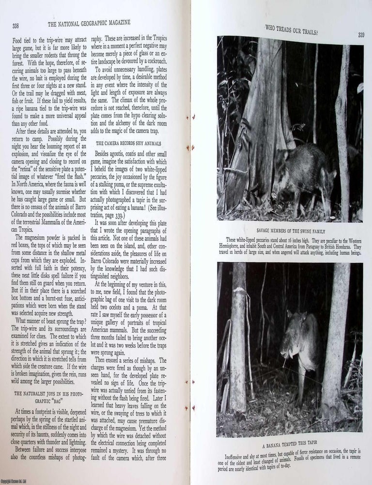 Item #233966 A Camera Trapper describes his experiences on Barro Colorado Island in the Canal...