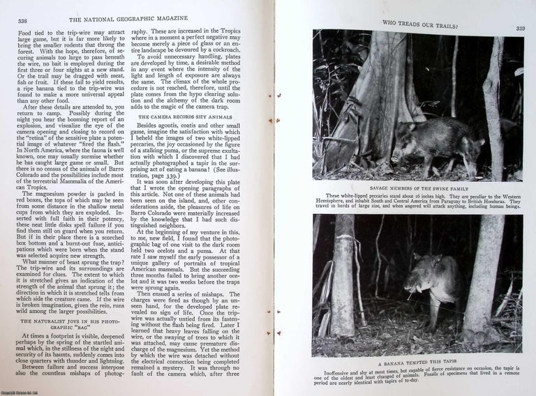 Item #233966 A Camera Trapper describes his experiences on Barro Colorado Island in the Canal...