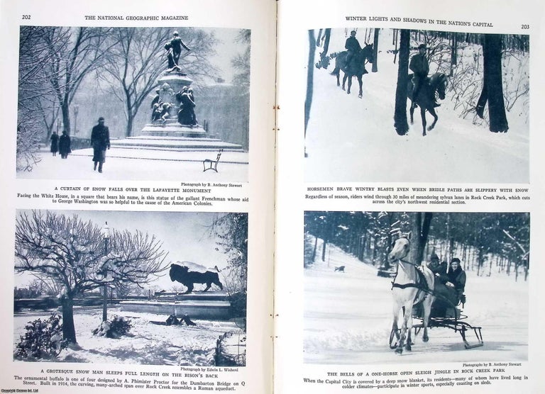 Item #237944 21 photographs ONLY. Winter Lights and Shadows in The Nation's Capital...