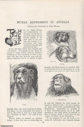 Item #241666 Human Expression in Animals. Illustrated by Fred Miller. An original article from...