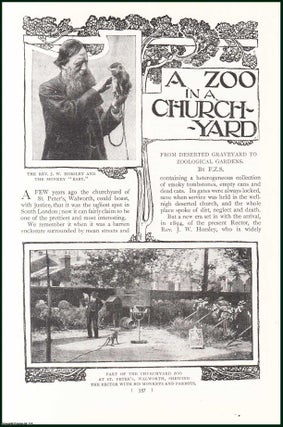 Item #244684 The Churchyard of St. Peter's, Walworth, South London, Now A Zoo : From Deserted...