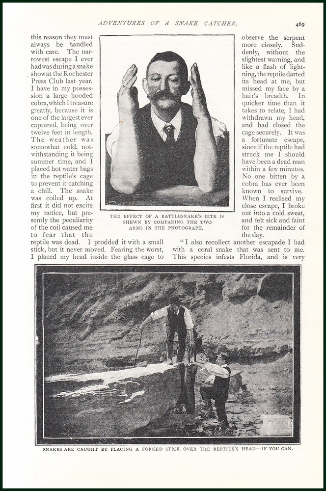 Item #244701 Mr. Peter Gruber, Of Rochester, New York State. Adventures of a Snake-Catcher: An Interview with The World's Champion. An uncommon original article from the Harmsworth London Magazine, 1901. Frederick A. Talbot.