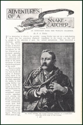 Mr. Peter Gruber, Of Rochester, New York State. Adventures of a Snake-Catcher: An Interview with The World's Champion. An uncommon original article from the Harmsworth London Magazine, 1901.