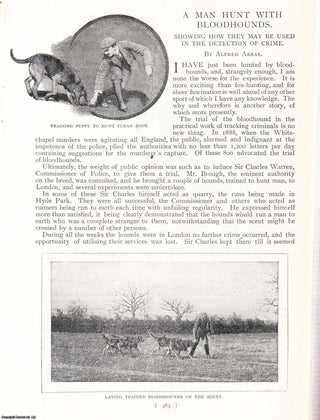 Item #247882 A Man Hunt With Bloodhounds : Showing How They May Be Used In The Detection Of...