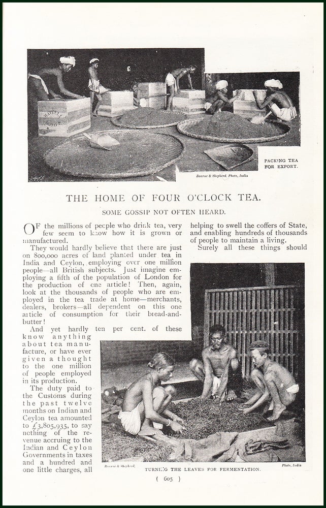 Item #247902 Tea in India & Ceylon : The Home Of Four O'Clock Tea. : Some Gossip Not Often Heard. An uncommon original article from the Harmsworth London Magazine, 1898. Stated.