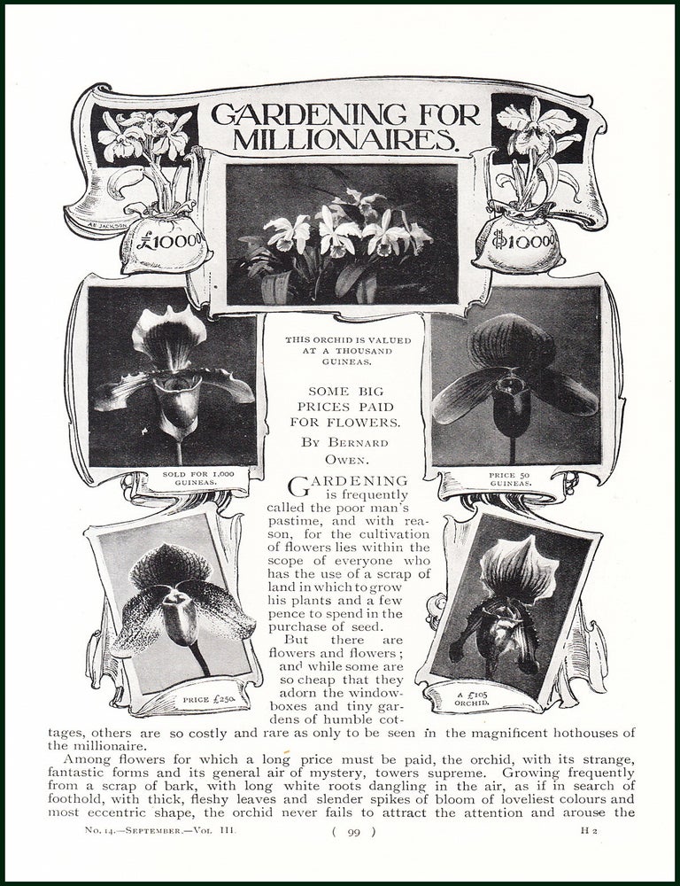 Item #247991 Gardening for Millionaires. Some Big Prices Paid for Flowers and Plants : Orchids,...