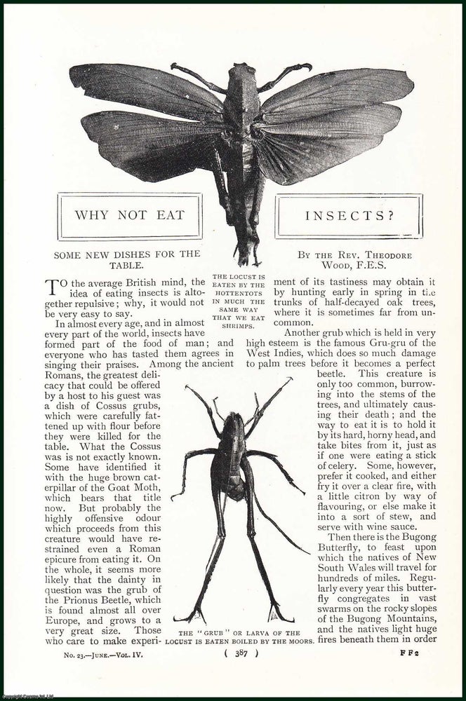 Item #248089 Why Not Eat Insects. Some New Dishes For The Table. The Grub ; Tiger Beetle in Mexico ; The Bugong Butterfly & more. An uncommon original article from the Harmsworth London Magazine 1901. Rev. Theodore Wood.