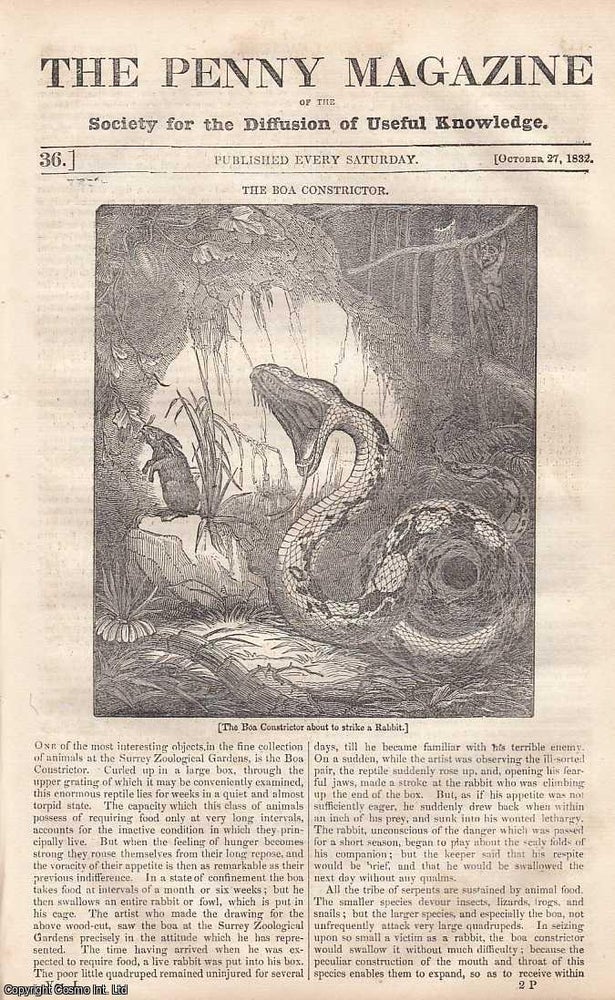Item #249078 The Boa Constrictor; Comets. - No. 2; Temples of Paestum; Difference Between Gambling and Trading; Saturday Night's Wages, etc. Issue No. 36, October 27th, 1832. A complete original weekly issue of the Penny Magazine, 1832. Penny Magazine.
