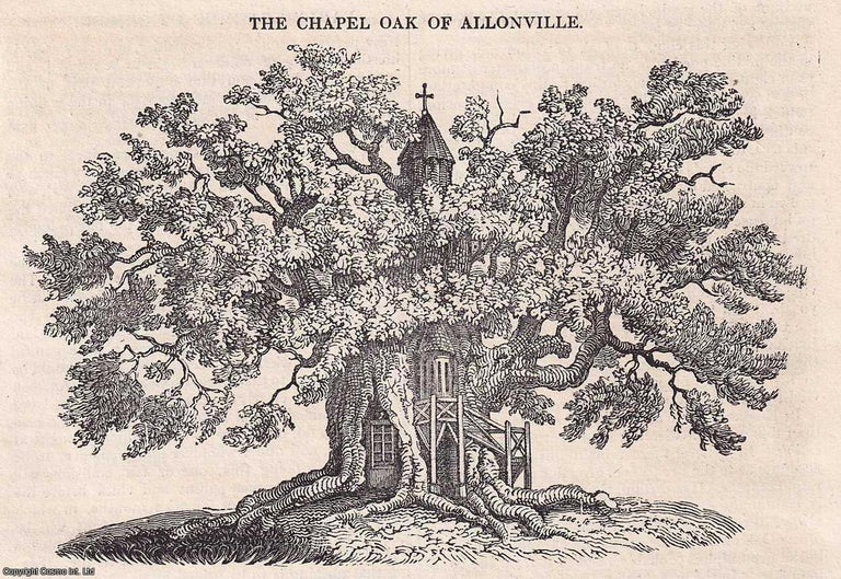 Item #249099 The Chapel Oak of Allonville; The Fossil Elephant or Mammoth; Belshazzar's Feast; Familiar Remarks on Architecture No. II.; Of Jesting; Early Training of Children; On Equality; Education in Scotland, etc. Issue No. 14, September 22nd, 1832. A complete original weekly issue of the Saturday Magazine, 1832. Saturday Magazine.