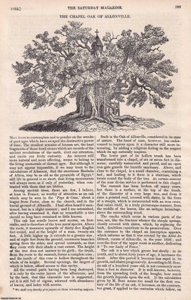 The Chapel Oak of Allonville; The Fossil Elephant or Mammoth; Belshazzar's Feast; Familiar Remarks on Architecture No. II.; Of Jesting; Early Training of Children; On Equality; Education in Scotland, etc. Issue No. 14, September 22nd, 1832. A complete original weekly issue of the Saturday Magazine, 1832.