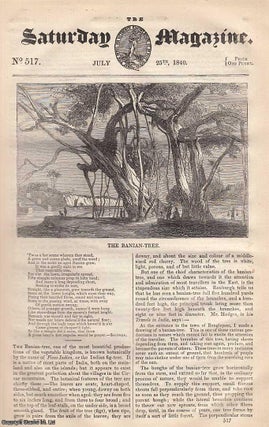 Item #249185 The Banian Tree; Doomsday Book; The Ionian Islands - No. II. Corfu; Improvement in...