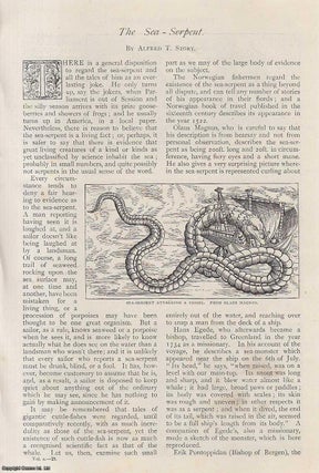 Item #252671 The Sea-Serpent : he only turns up in America when Parliament is out of session &...