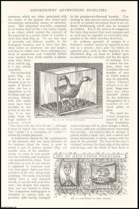 Item #252711 The effect of meat pudding ; a grim device ; an attractive freak ; a severed head &...