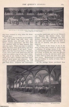 Item #252904 The Queen's Stables, Buckingham Palace. An uncommon original article from The Strand...