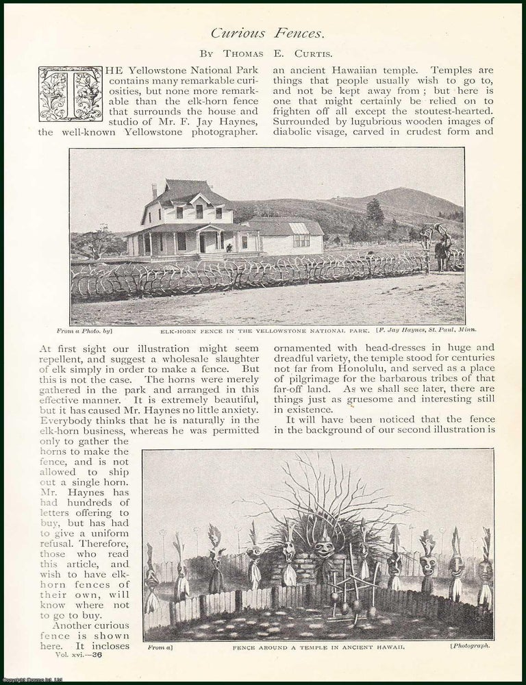 Item #253140 A Temple in Ancient Hawaii : Cactus Fence in Nyassaland ; A Fence Ornamented With...