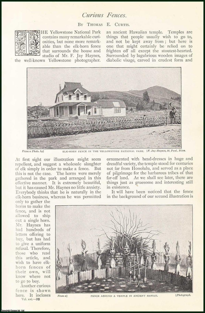Item #253140 A Temple in Ancient Hawaii : Cactus Fence in Nyassaland ; A Fence Ornamented With...