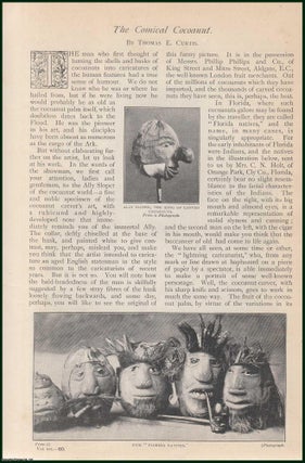 Turning The Shells & Husks of Coconuts into Caricatures. Thomas E. Curtis.