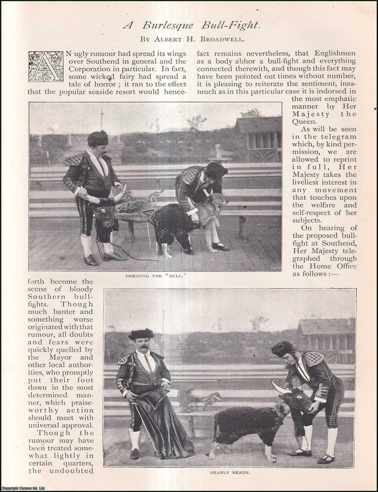 Item #253337 A Burlesque Bull-Fight. 5 pages. Illustrated with photographs. An article printed in...