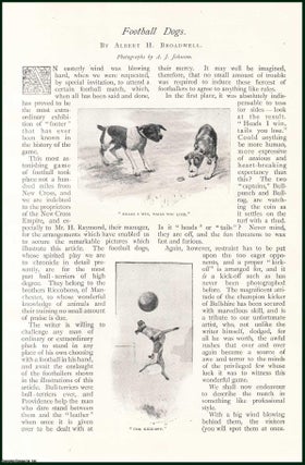 Item #253377 Football Dogs : Dogs Playing Football. An uncommon original article from The Strand...