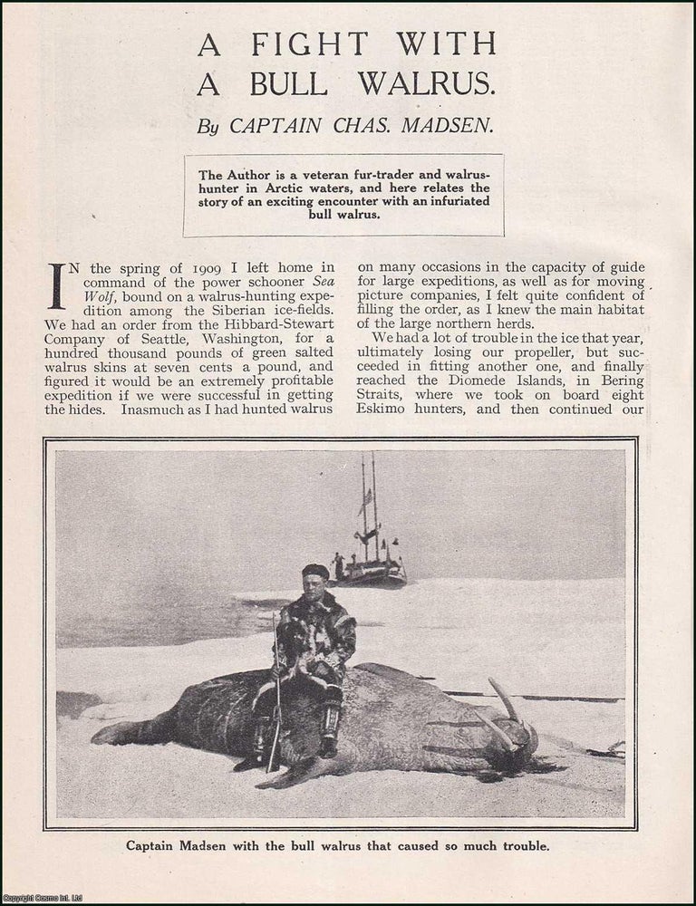 A Fight with a Bull Walrus. A verteran fur-trader and walrus-hunter in ...