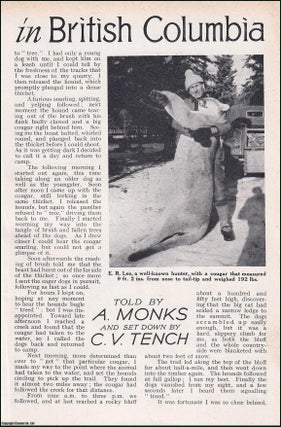Item #256534 Cougar Hunting in British Columbia. An uncommon original article from the Wide World...