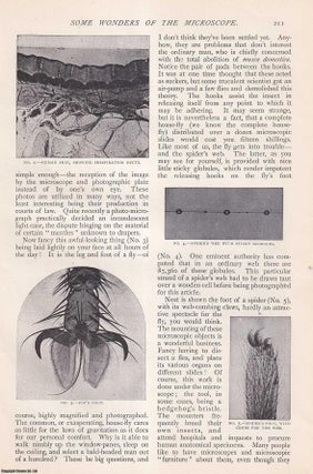 Some Wonders of The Microscope. An uncommon original article from. William G. Fitzgerald.