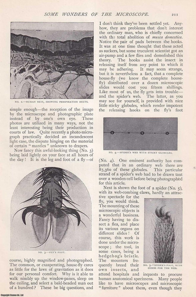 Item #256931 Some Wonders of The Microscope. An uncommon original article from The Strand Magazine, 1896. William G. Fitzgerald.