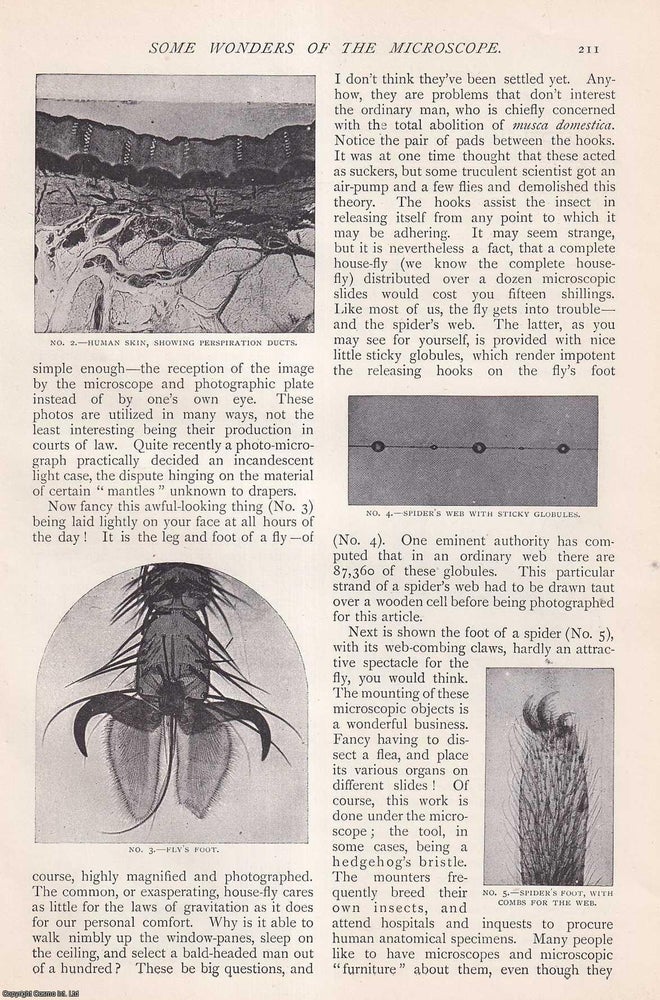 Item #256931 Some Wonders of The Microscope. 7 pages. An article printed in 1896, written by...