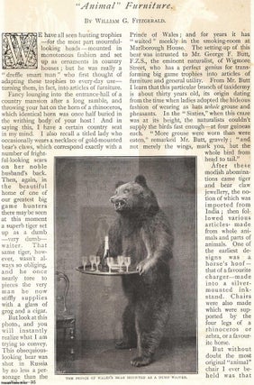Animal Furniture. Made from hunting trophies. An uncommon original article. William G. Fitzgerald.