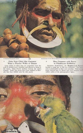 Item #260628 New Guinea's Rare Birds and Stone Age Men: Filming Exotic Birds of Paradise and...