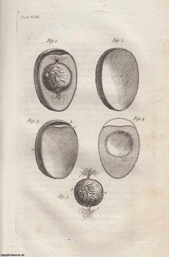 Item #263538 Reflections on the State of an Egg in Incubation. A rare original article from the...