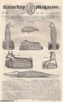 Egyptian Antiquities, Mummies; The Employment of Gain; The Wellington Shield. Saturday Magazine.