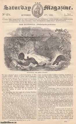Item #269879 The Duck-Bill, and Their Burrows; Thoughts on Marriage; Newspaper Literature, no 9;...