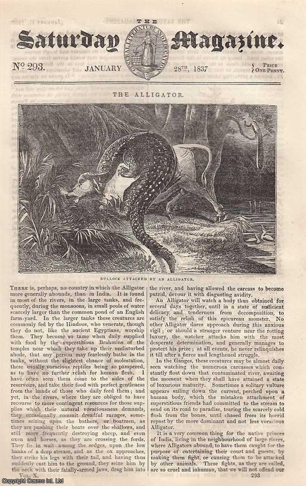 Item #269930 The Alligator, Bullock Attacked by an Alligator; Musical Instruments (wind instruments); The Popular Superstitions, Legends, and Fictions, of The Middle Ages. 2; Cartland Craigs and Bridge, etc. Issue No. 293. January, 1837. A complete rare weekly issue of the Saturday Magazine, 1837. Saturday Magazine.