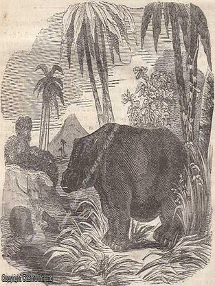 The Oriental Plane ; First Visit to the Old Castle at Baden ; The Hippopotamus ; China : The Peasantry of China, part 7, etc. A complete rare weekly issue of the Saturday Magazine, 1837.