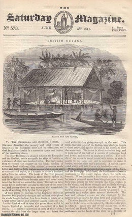 British Guyana: The Demerara and Berbice Rivers; Do Stones Grow. Saturday Magazine.