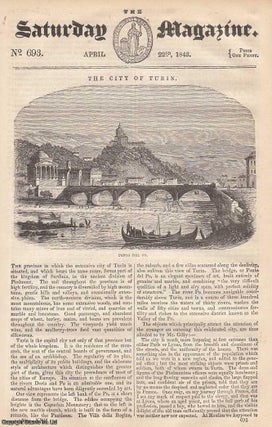 Item #281280 The City of Turin, Ponto Del Po; Easy Lessons on Reasoning: Lesson 6; The Baltimore...