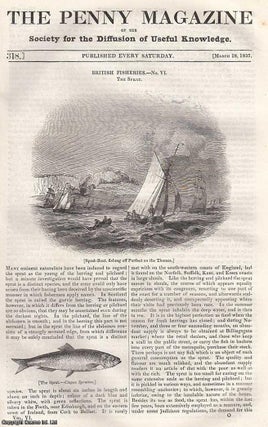Item #281427 British Fisheries: The Sprat; Paving, Lighting, Water & Sewers; Landing of Julius...