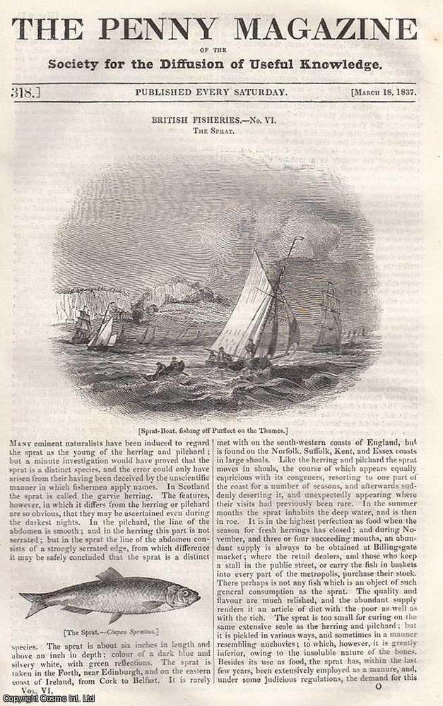 Item #281427 British Fisheries: The Sprat; Paving, Lighting, Water & Sewers; Landing of Julius Caesar, etc. Issue No. 318, March 18th, 1837. A complete original weekly issue of the Penny Magazine, 1837. Penny Magazine.
