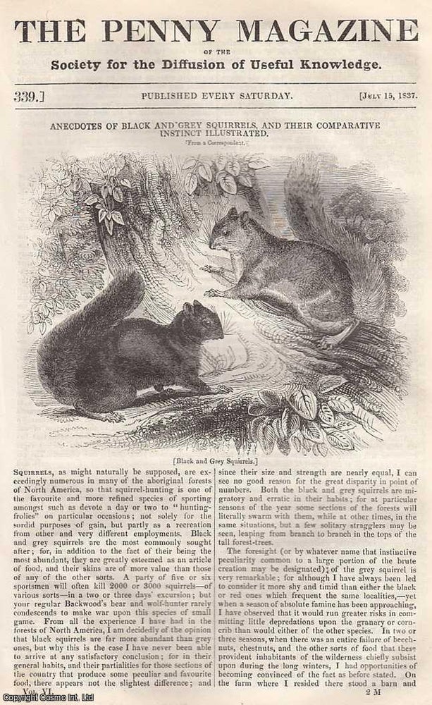 Item #281448 Anecdotes of Black and Grey Squirrels, and their Comparative Instinct Illustrated; The New Forest, Hampshire; Sketches of The Peninsula: Lisbon, part 2; Yankee Pedlers, and Peddling in America, etc. Issue No. 339, July 15th, 1837. A complete original weekly issue of the Penny Magazine, 1837. Penny Magazine.